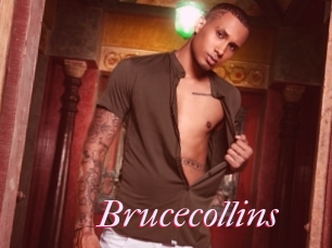 Brucecollins