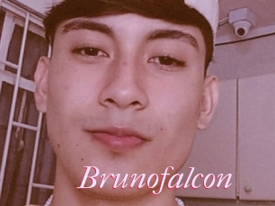 Brunofalcon