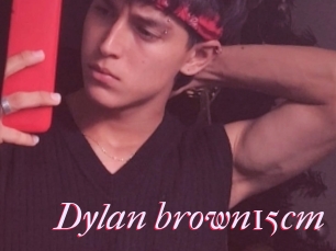 Dylan_brown15cm