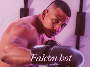 Falcon_hot