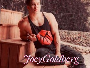 JoeyGoldberg