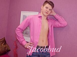 Jacobbud