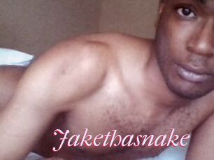 Jake_tha_snake