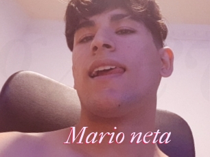 Mario_neta