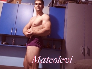 Mateolevi