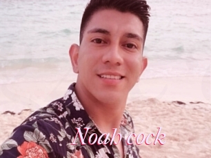 Noah_cock