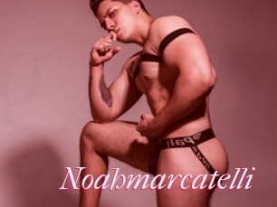 Noahmarcatelli