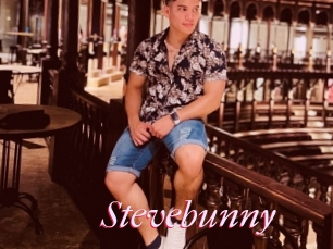 Stevebunny