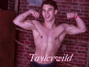 Taylerwild