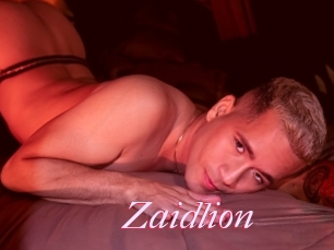 Zaidlion